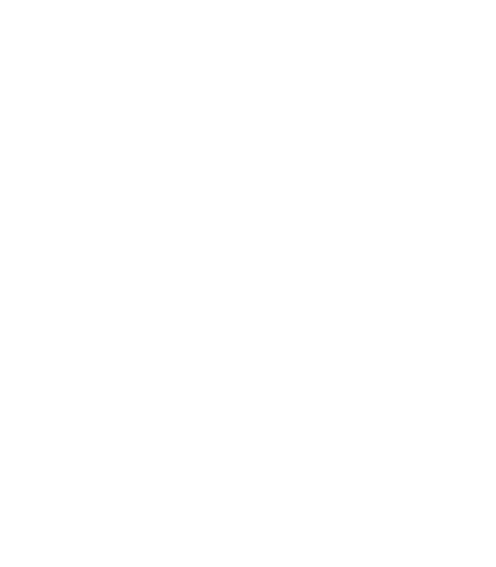 flecha
