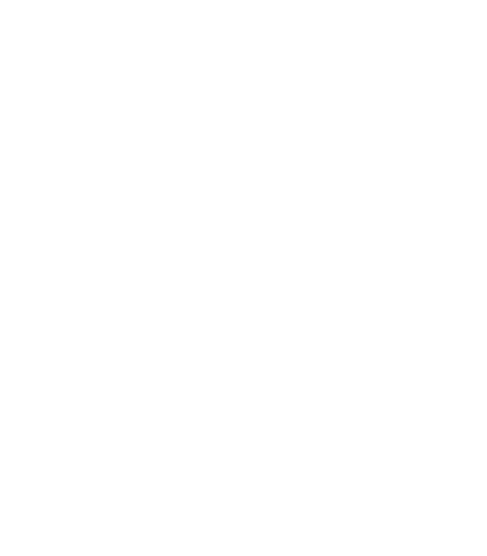 flecha